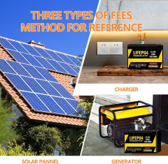 12.8v 12Ah LiFePO4 Battery LFP1212,12.8V 12Ah LiFePO4 Battery Pack (4S) | Custom & Wholesale | HONYJOR,LiPo Battery & Lithium Polymer Battery Manufacturer | Honyjor