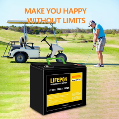 12.8v 20Ah LiFePO4 Battery LFP1220,12.8v 20Ah LiFePO4 Battery LFP1220,LiPo Battery & Lithium Polymer Battery Manufacturer | Honyjor