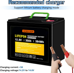 12.8v 30Ah LiFePO4 Battery LFP1230,12.8V 30Ah LiFePO4 Battery Pack (4S) | Custom & Wholesale | HONYJOR,LiPo Battery & Lithium Polymer Battery Manufacturer | Honyjor