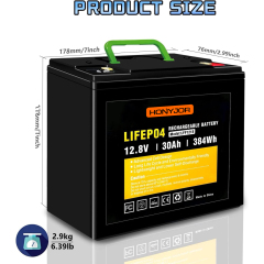 12.8v 30Ah LiFePO4 Battery LFP1230,12.8V 30Ah LiFePO4 Battery Pack (4S) | Custom & Wholesale | HONYJOR,LiPo Battery & Lithium Polymer Battery Manufacturer | Honyjor