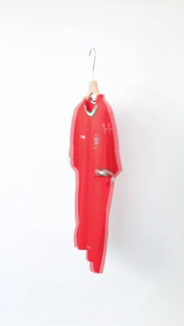 Portugal Home Soccer Jersey 2025