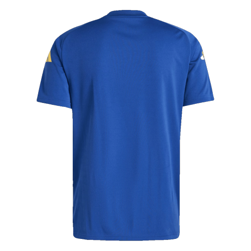 Spain Pre-Match Soccer Jersey EURO Blue