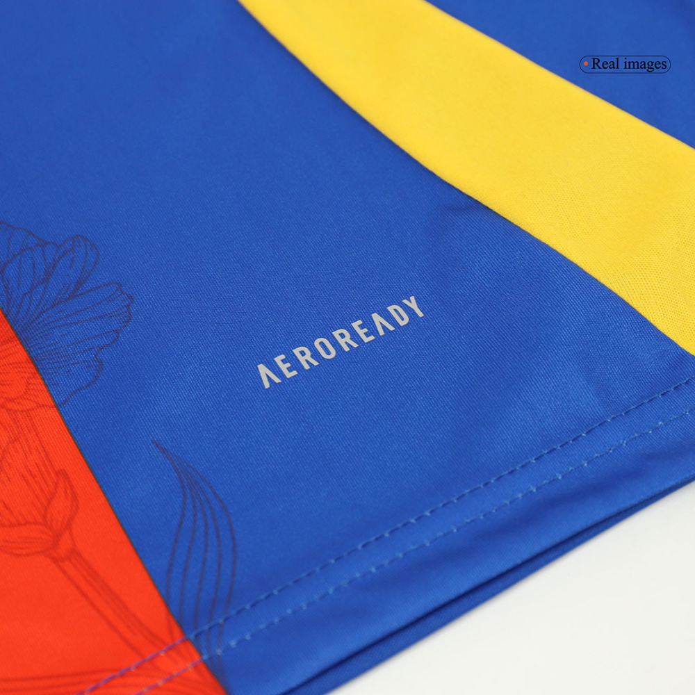 Spain Pre-Match Soccer Jersey EURO Blue