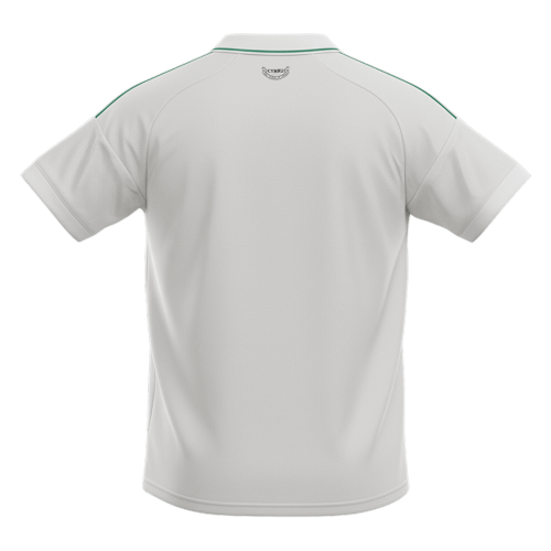Wales Away Soccer Jersey World Cup 2026