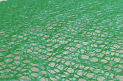 3D Vegetation Net