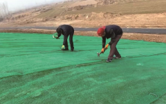 3D Vegetation Net