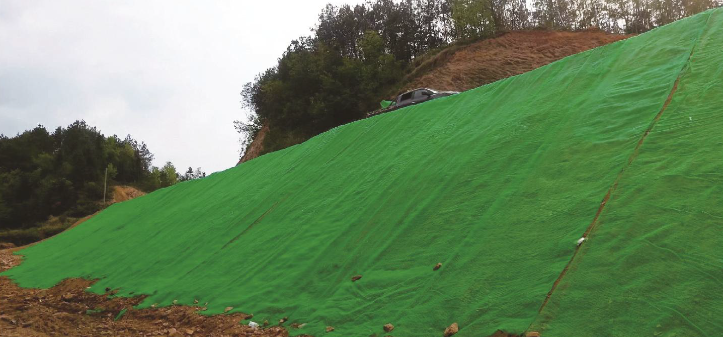 3D Vegetation Net