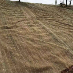 Coconut Blanket