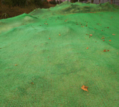 3D Vegetation Net