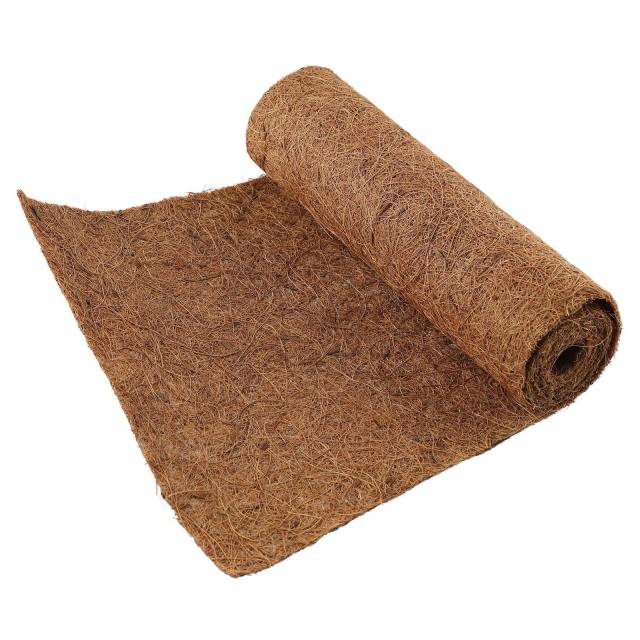 Coconut Blanket