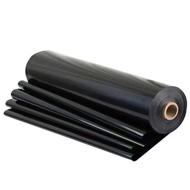 Geomembrane: High-Performance Liner for Waterproofing and Environmental Protection