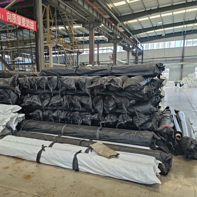Geomembrane for Aquaculture: Waterproof Pond Liner for Fish and Shrimp Farming Protection