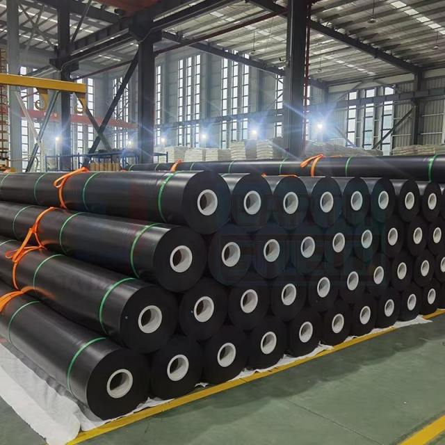 Geomembrane: High-Performance Liner for Waterproofing and Environmental Protection