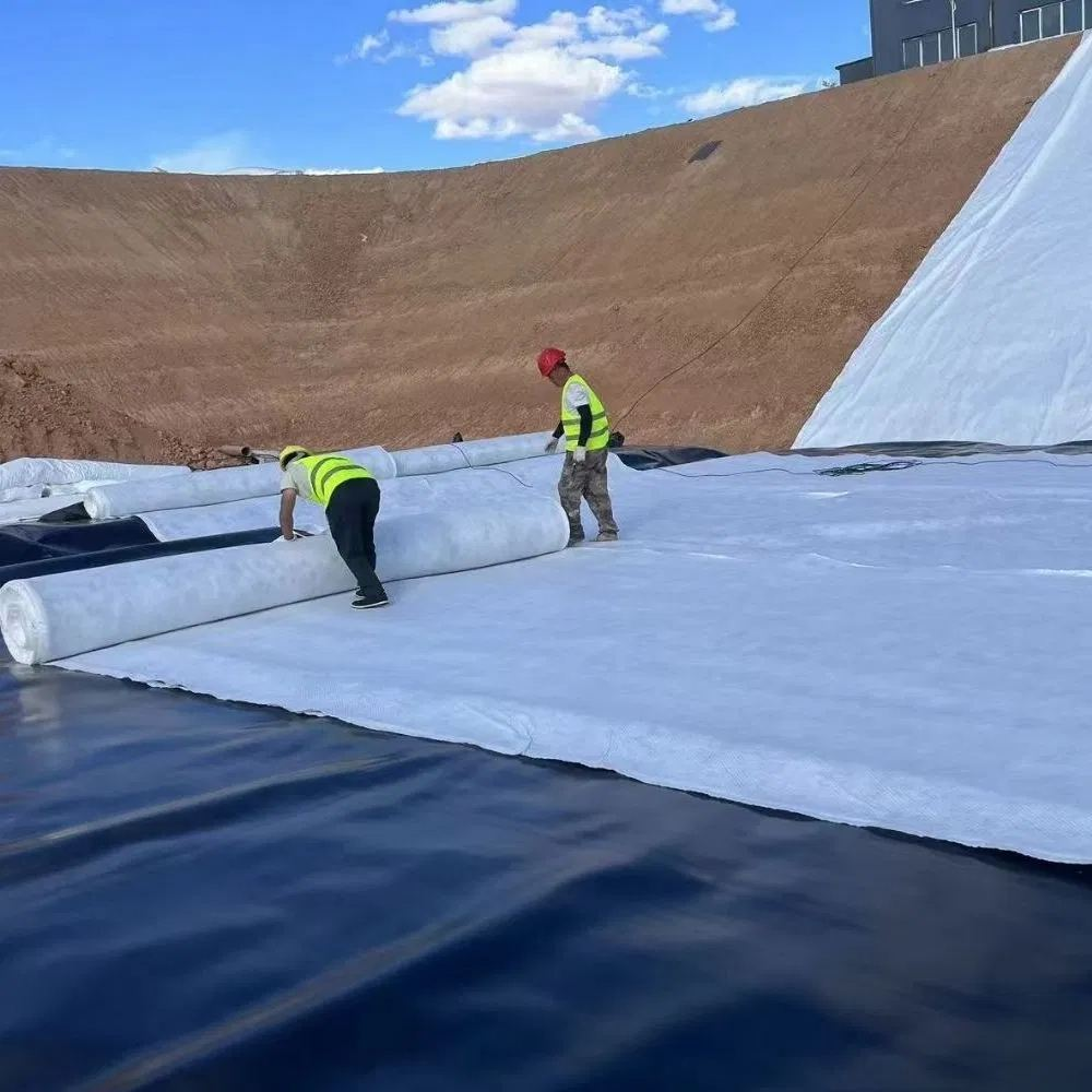 Geomembrane for Aquaculture: Waterproof Pond Liner for Fish and Shrimp Farming Protection