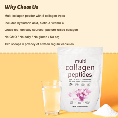 Multi Collagen Peptides Powder - Wholesale Supplement Supplier,MY SHOP,YAPHEON Multi Collagen Peptides Powder - 5 Types OEM Manufacturer