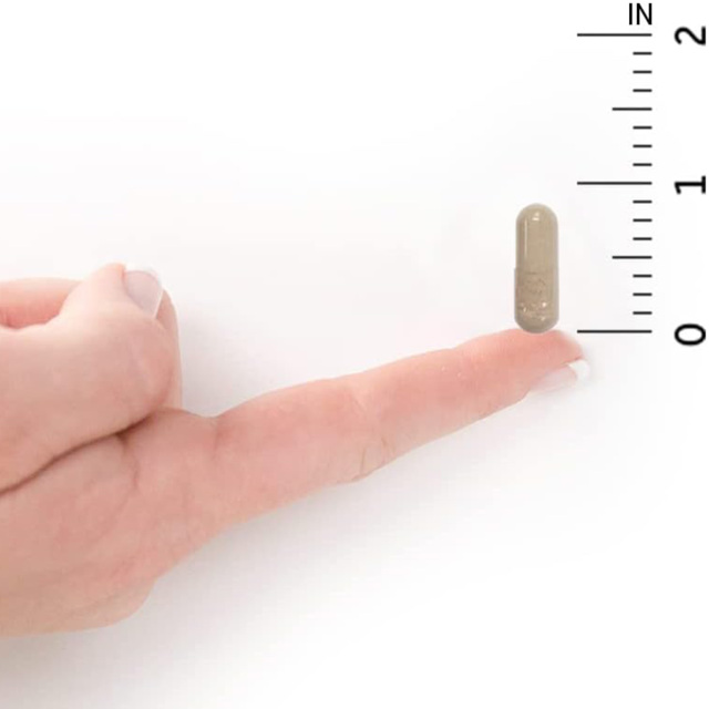 Vitamin C 500mg Vegan Capsules,MY SHOP,Vitamin C 500mg Vegan Capsules