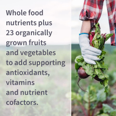 Vitamin C 500mg Vegan Capsules,MY SHOP,Vitamin C 500mg Vegan Capsules