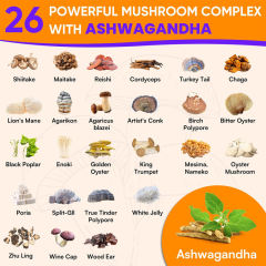 26-in-1 Mushroom Complex Gummies,MY SHOP,26-in-1 Mushroom Complex Gummies