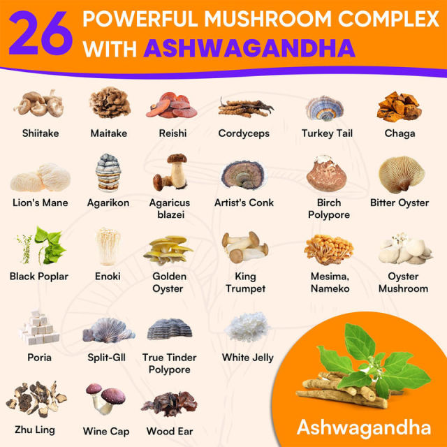 26-in-1 Mushroom Complex Gummies,MY SHOP,26-in-1 Mushroom Complex Gummies