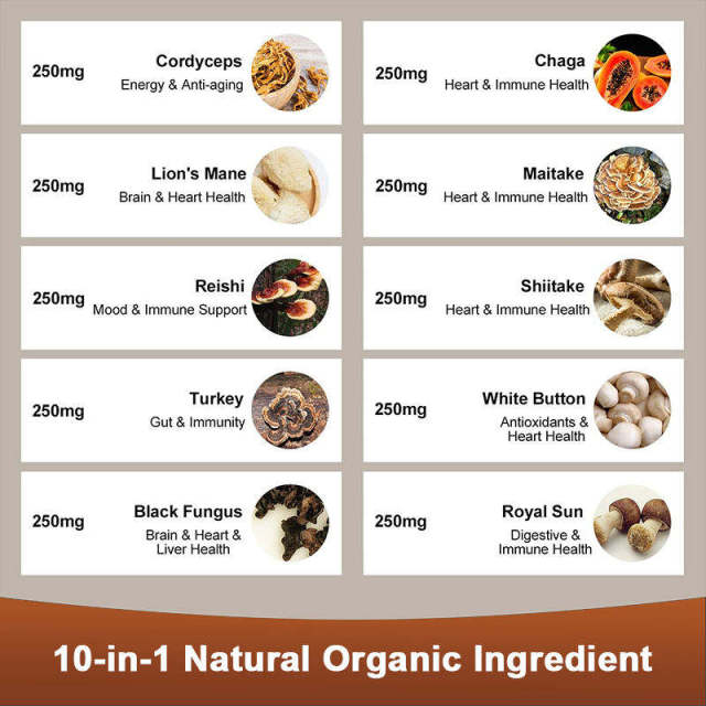 Mushroom Complex Gummies,MY SHOP,Mushroom Complex Gummies