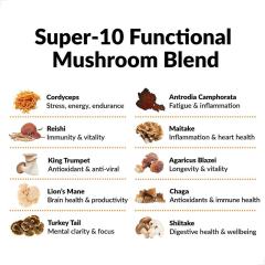 10 Mushroom Blend Capsules - Private Label Supplement,MY SHOP,10 Mushroom Superfood Capsules - OEM mushroom supplements Supply