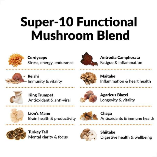 10 Mushroom Blend Capsules - Private Label Supplement,MY SHOP,10 Mushroom Superfood Capsules - OEM mushroom supplements Supply