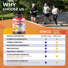 Berberine HCL & Liver Support Capsule,MY SHOP,Berberine HCL & Liver Support Capsule