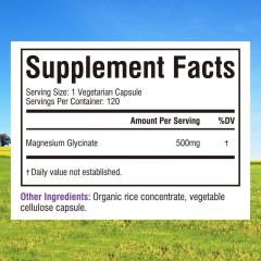 Premium Magnesium Glycinate Capsule Supplement,MY SHOP,Premium Magnesium Glycinate Capsule Supplement