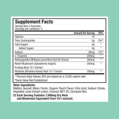 Ashwagandha Reishi L-Theanine Stress Relief Gummies,MY SHOP,Ashwagandha Reishi L-Theanine Stress Relief Gummies