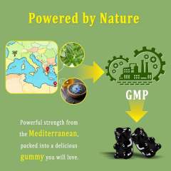 Oil of Oregano & Black Seed Oil with Vitamin D3 Gummies,MY SHOP,Oil of Oregano & Black Seed Oil with Vitamin D3 Gummies
