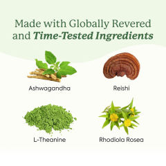 Ashwagandha Reishi L-Theanine Stress Relief Gummies,MY SHOP,Ashwagandha Reishi L-Theanine Stress Relief Gummies