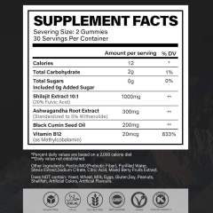 Shilajit Daily Energy & Vitality Support Gummies,MY SHOP,Shilajit Daily Energy & Vitality Support Gummies