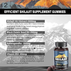 Shilajit Daily Energy & Vitality Support Gummies,MY SHOP,Shilajit Daily Energy & Vitality Support Gummies