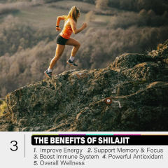 Shilajit Daily Energy & Vitality Support Gummies,MY SHOP,Shilajit Daily Energy & Vitality Support Gummies