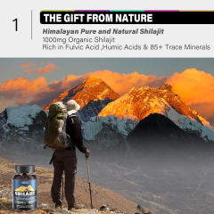 Shilajit Daily Energy & Vitality Support Gummies,MY SHOP,Shilajit Daily Energy & Vitality Support Gummies