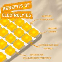 Electrolyte Gummies with Multivitamin Multimineral Magnesium Citrate Boost Stamina Energy Production 90 Gummies,MY SHOP,Electrolyte Gummies with Multivitamin Multimineral Magnesium Citrate Boost Stamina Energy Production 90 Gummies