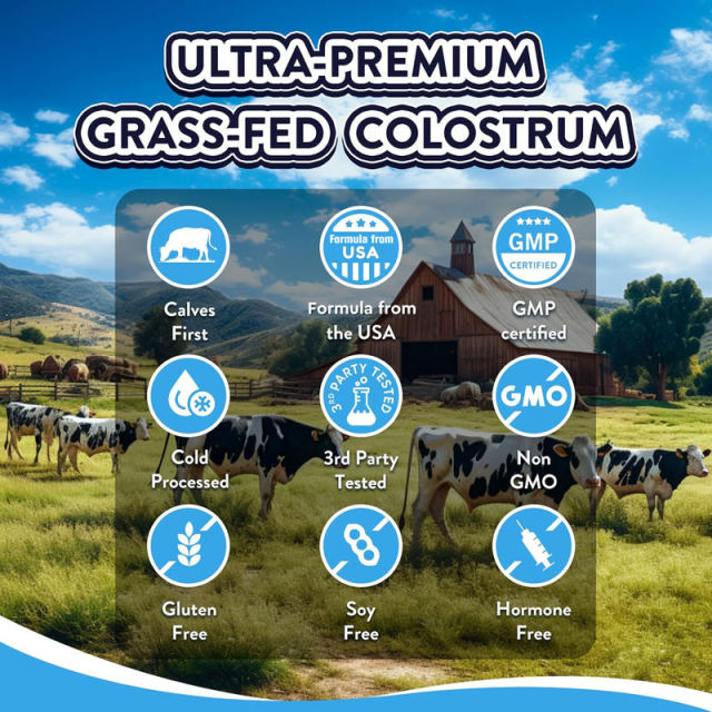 Core Colostrum Gummies Grass-Fed Bovine Colostrum Raspberry Flavor Immune Support 12.7 oz (360g),MY SHOP,Core Colostrum Gummies Grass-Fed Bovine Colostrum Raspberry Flavor Immune Support 12.7 oz (360g)