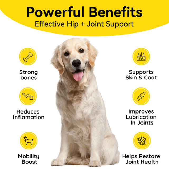 OEM Pet Supplement Manufacturer: Glucosamine Chondroitin Joint Chews for Dogs,MY SHOP,OEM Pet Supplement Manufacturer: Glucosamine Chondroitin Joint Chews for Dogs