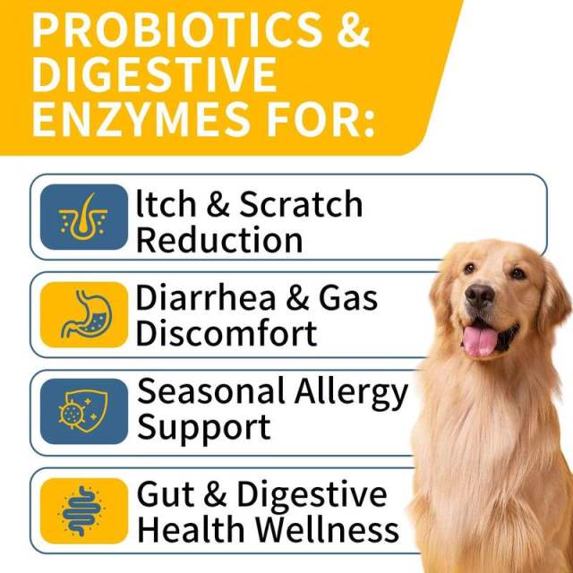 Custom Private Label Probiotic Chews for Dogs, Rebuilds Gut Bacteria,MY SHOP,Custom Private Label Probiotic Chews for Dogs, Rebuilds Gut Bacteria