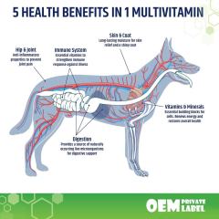 OEM Private Label 5-in-1 Multivitamin Soft Chews for Dogs, 120 Count,MY SHOP,OEM Private Label 5-in-1 Multivitamin Soft Chews for Dogs, 120 Count