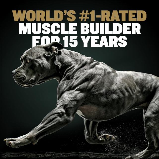 Custom Private Label Pro Series 11-in-1 Muscle Gain Chews for Dogs,MY SHOP,Custom Private Label Pro Series 11-in-1 Muscle Gain Chews for Dogs