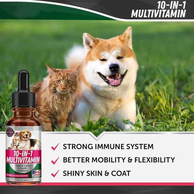 Wholesale OEM 10-in-1 Multivitamin Liquid Supplement for Canines & Felines,MY SHOP,1