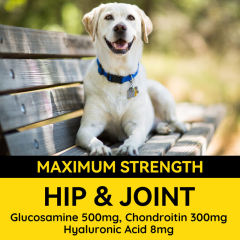 OEM Pet Supplement Manufacturer: Glucosamine Chondroitin Joint Chews for Dogs,MY SHOP,OEM Pet Supplement Manufacturer: Glucosamine Chondroitin Joint Chews for Dogs