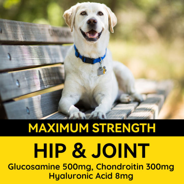 OEM Pet Supplement Manufacturer: Glucosamine Chondroitin Joint Chews for Dogs,MY SHOP,OEM Pet Supplement Manufacturer: Glucosamine Chondroitin Joint Chews for Dogs