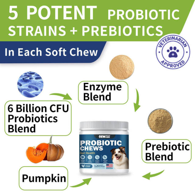 Custom Private Label Probiotic Chews for Dogs, Rebuilds Gut Bacteria,MY SHOP,Custom Private Label Probiotic Chews for Dogs, Rebuilds Gut Bacteria
