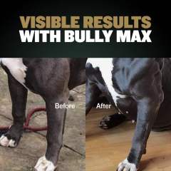 Custom Private Label Pro Series 11-in-1 Muscle Gain Chews for Dogs,MY SHOP,Custom Private Label Pro Series 11-in-1 Muscle Gain Chews for Dogs
