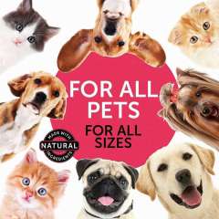Wholesale OEM 10-in-1 Multivitamin Liquid Supplement for Canines & Felines,MY SHOP,1