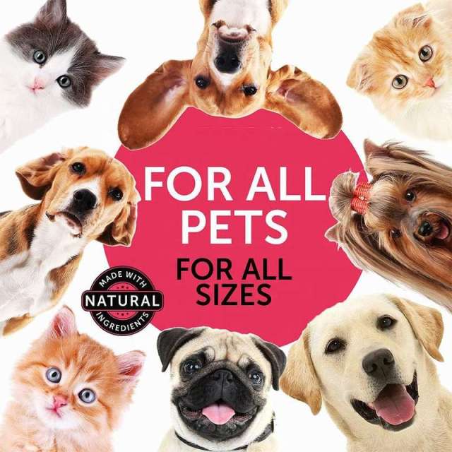 Wholesale OEM 10-in-1 Multivitamin Liquid Supplement for Canines & Felines,MY SHOP,1