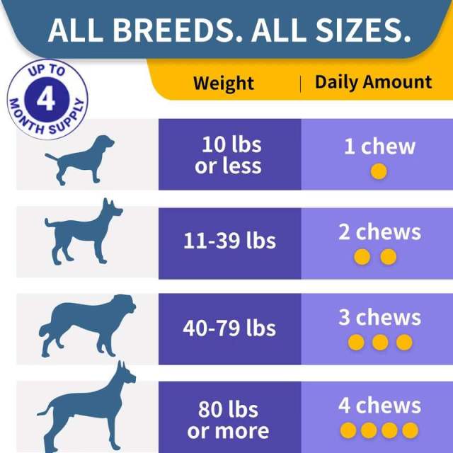 Custom Private Label Probiotic Chews for Dogs, Rebuilds Gut Bacteria,MY SHOP,Custom Private Label Probiotic Chews for Dogs, Rebuilds Gut Bacteria