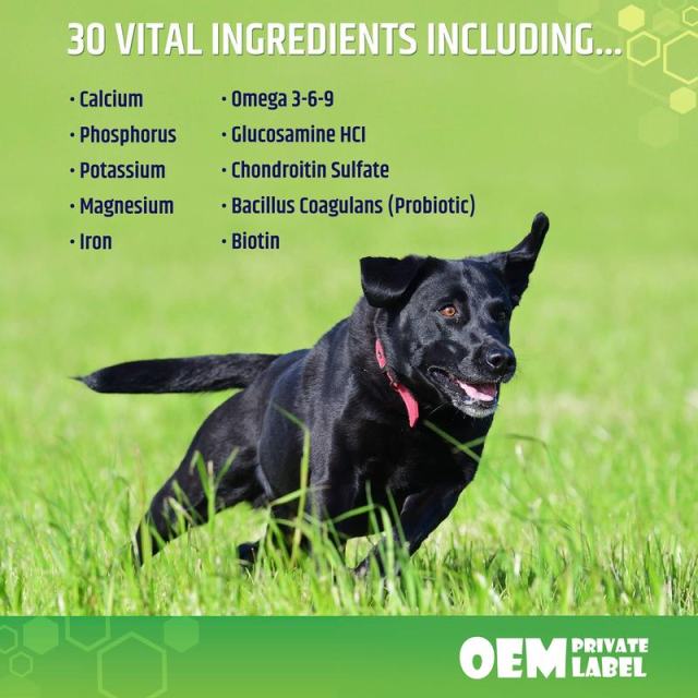 OEM Private Label 5-in-1 Multivitamin Soft Chews for Dogs, 120 Count,MY SHOP,OEM Private Label 5-in-1 Multivitamin Soft Chews for Dogs, 120 Count
